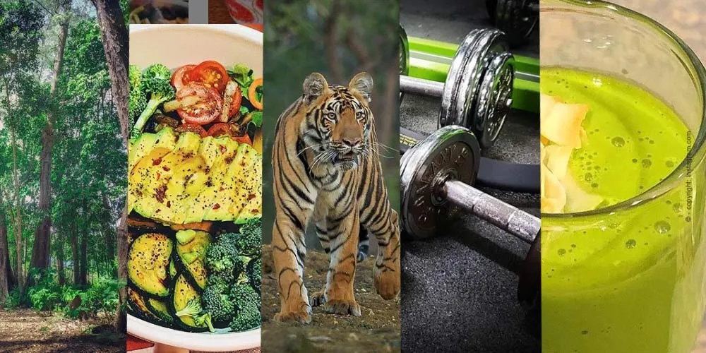 Motivado para el nuevo Año - Los mejores Ejercicios de Fitness para su Casa