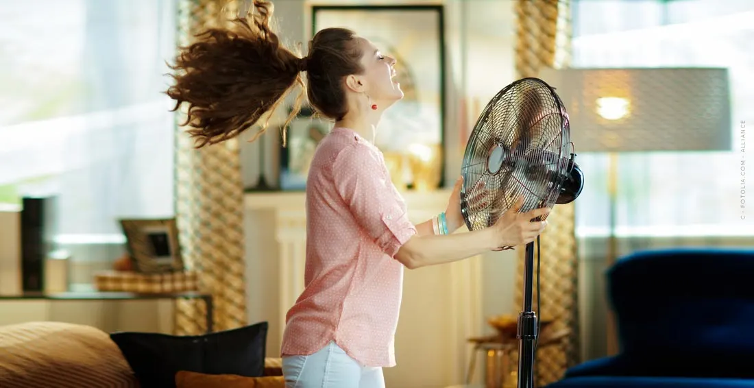 Ventilador: ¡un buen clima para su hogar! ¿Barato o caro? La comparación