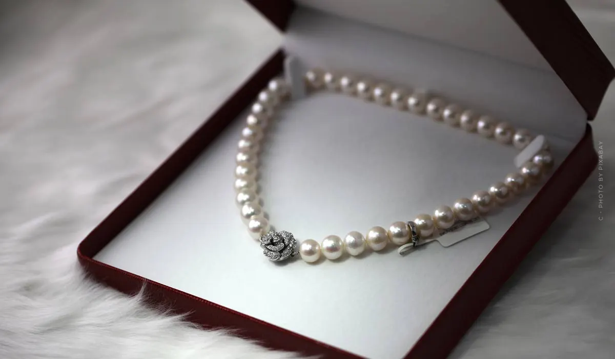 Bvlgari: joyas, accesorios y fragancias de lujo