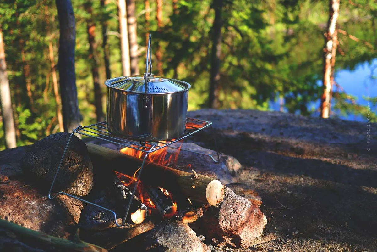 Consejos para cocinar en el camping: Recetas, Asado con carne y vegetariano