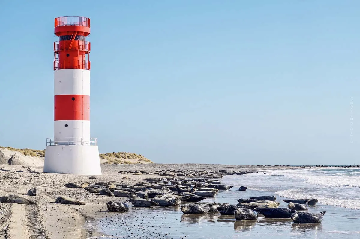 Recomendaciones de la playa del Mar del Norte: Las playas más bonitas para tomar el sol