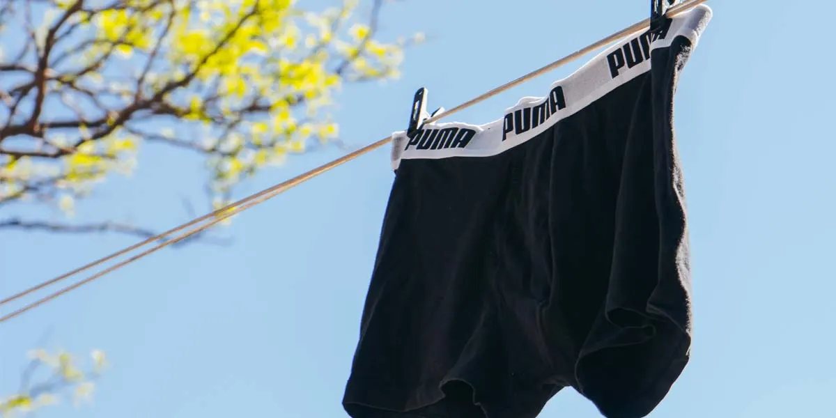 Las marcas más populares de calzoncillos de un vistazo