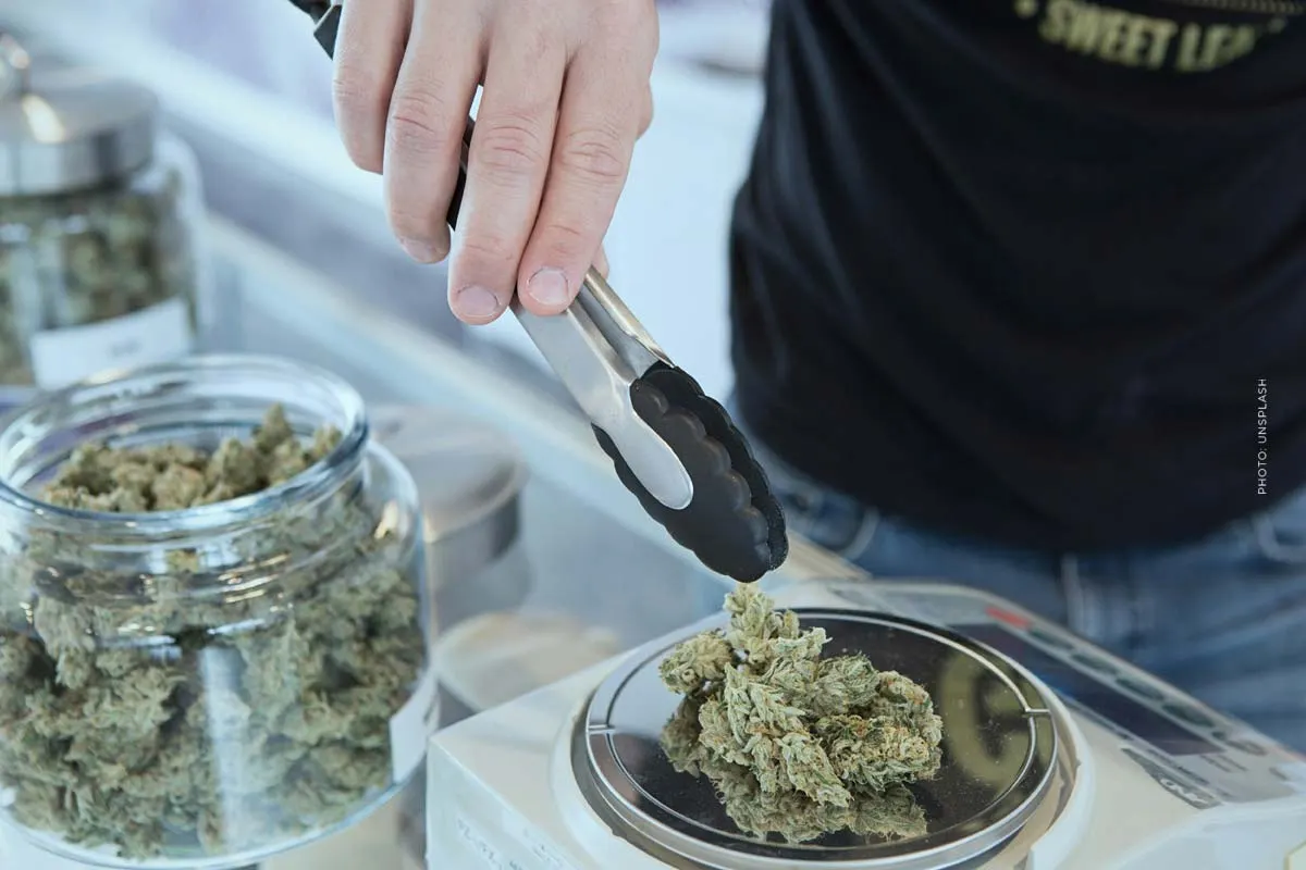 Cannabis con receta: Compra hierba y hierba con una "receta de cannabis" de tu médico (medicinal)