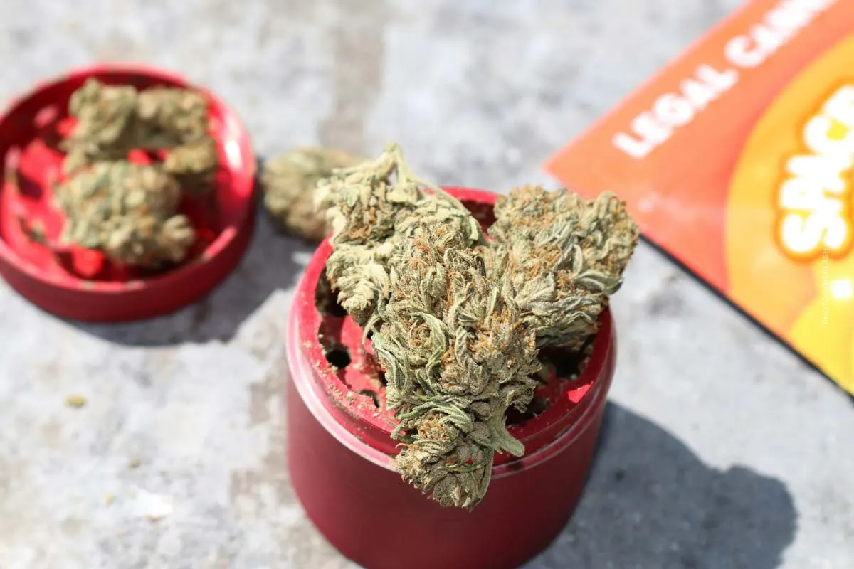 Cannabis y cannabis medicinal: la diferencia