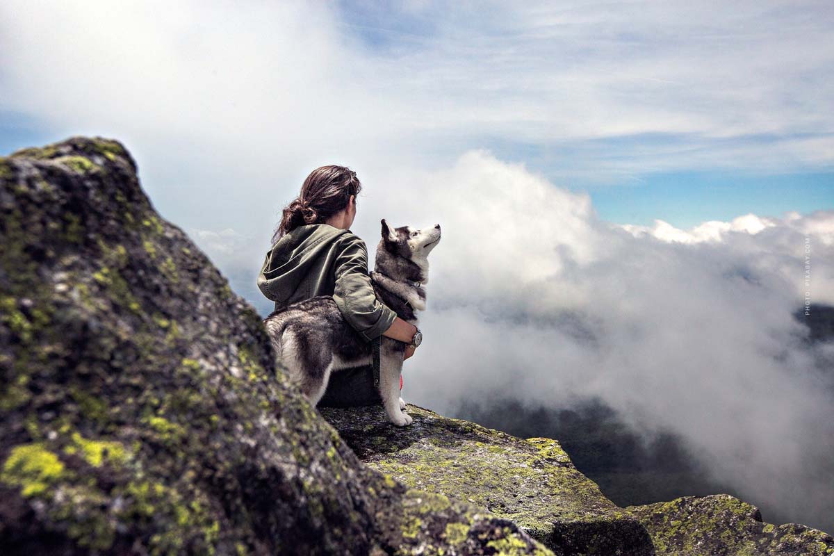 urlaub-tiere-hund-katze-tipps-reise-single-reise-husky-berge-wolken-klettern-wandern-was-machen-frau-hundebesitzerin