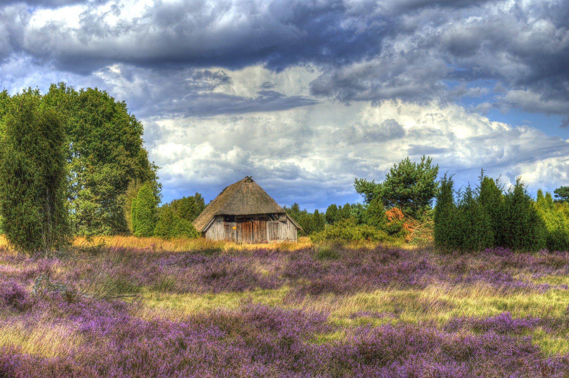 Vacaciones en la Lüneburger Heide: diversión acuática y senderismo para toda la familia - 5 recomendaciones